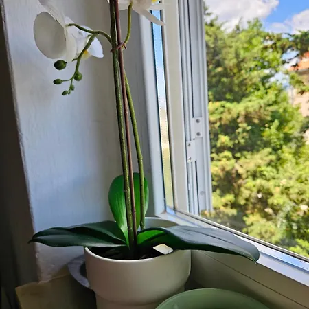Apartmán Anna *